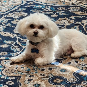 Fundraising Page: Vickie Luther